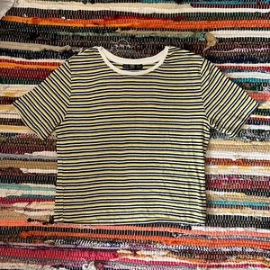 Zara Stripped Crop Top